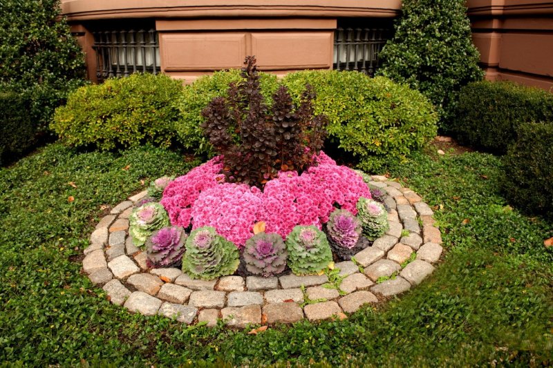 Landscape design of flower beds