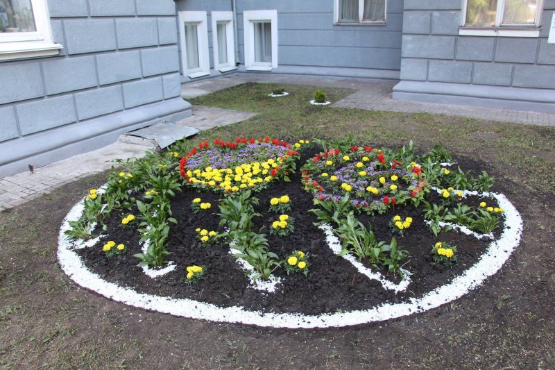 Flower garden flower bed