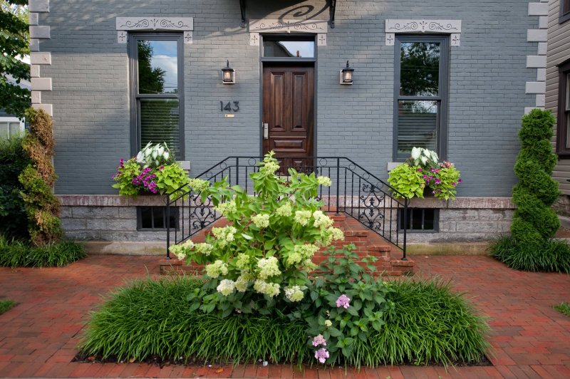 Club of hydrangea blizzard hosts conifers