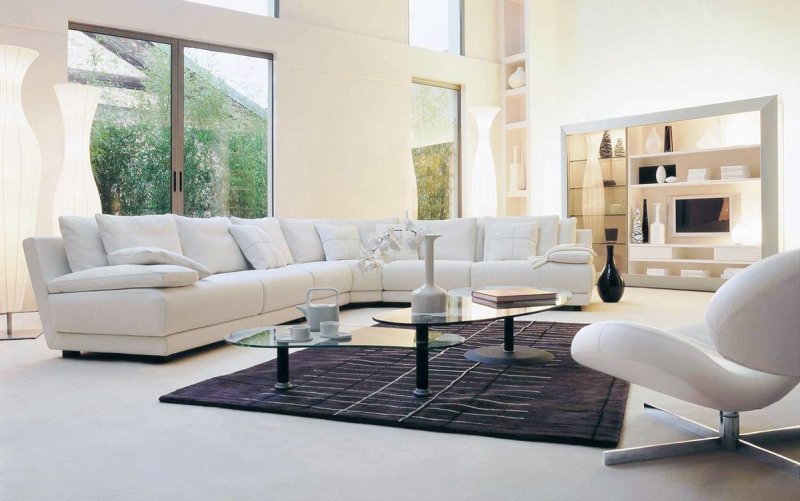 Living room sofa in a modern style