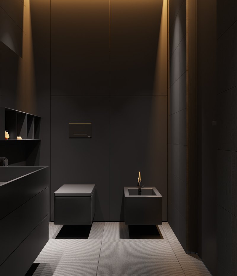 Toilet in the style of minimalism