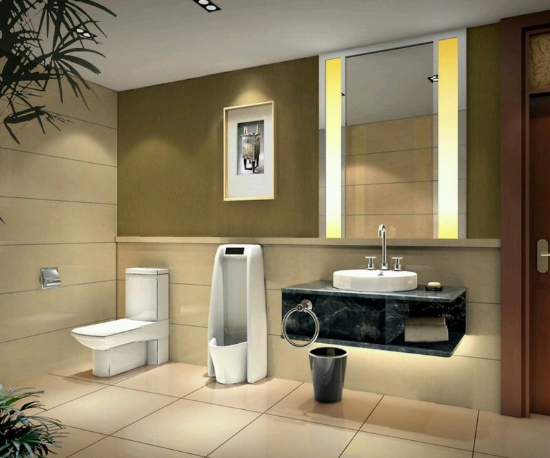 Modern toilet room