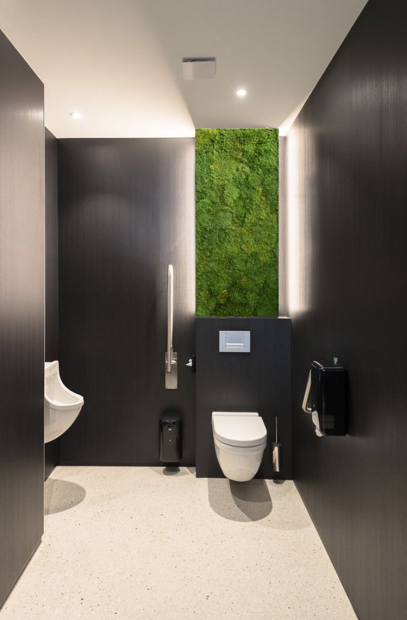 Toilet design in a modern style