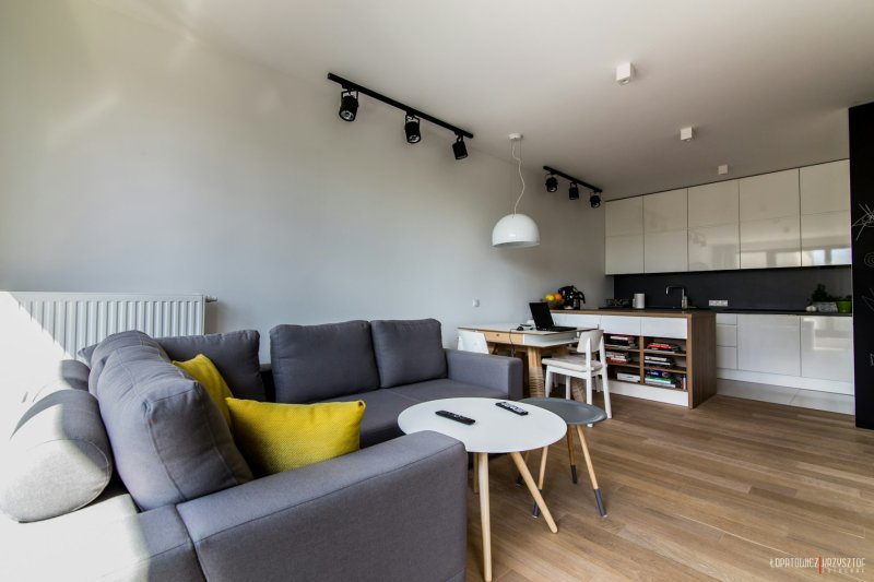 Kitchen Living room in the Scandinavian style