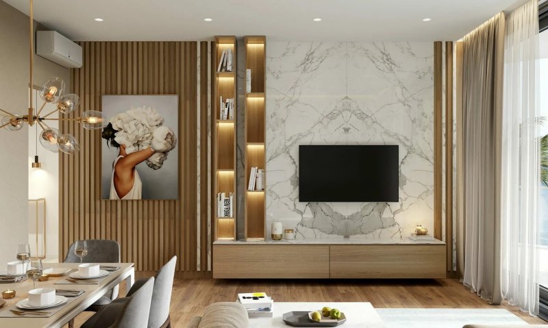 TV zone in modern style