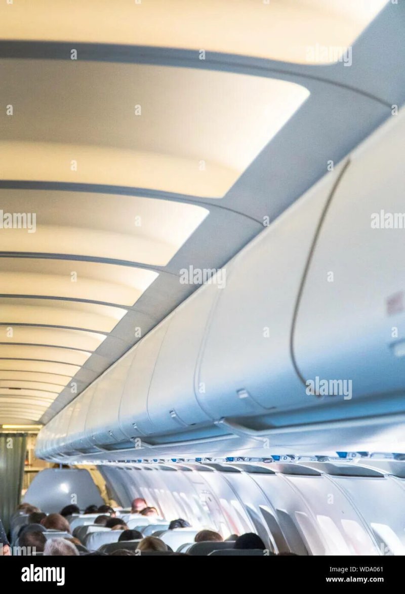 The ceiling of the aircraft