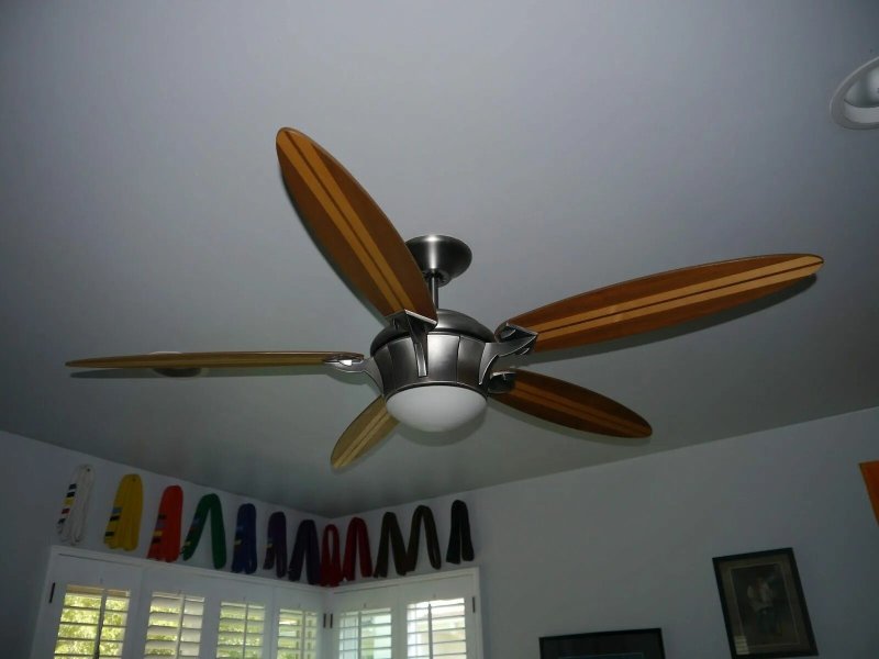 Ceiling fans