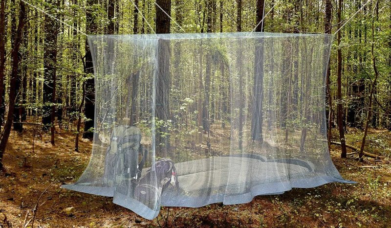 Canopy of mosquitoes with mosquito nets