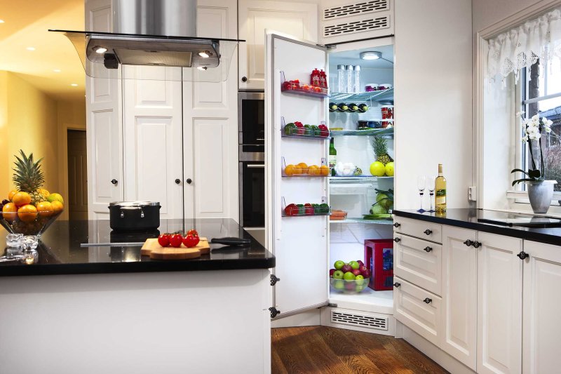 Built -in refrigerator for the kitchen