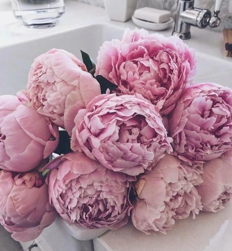 Peony bouquet Perfect