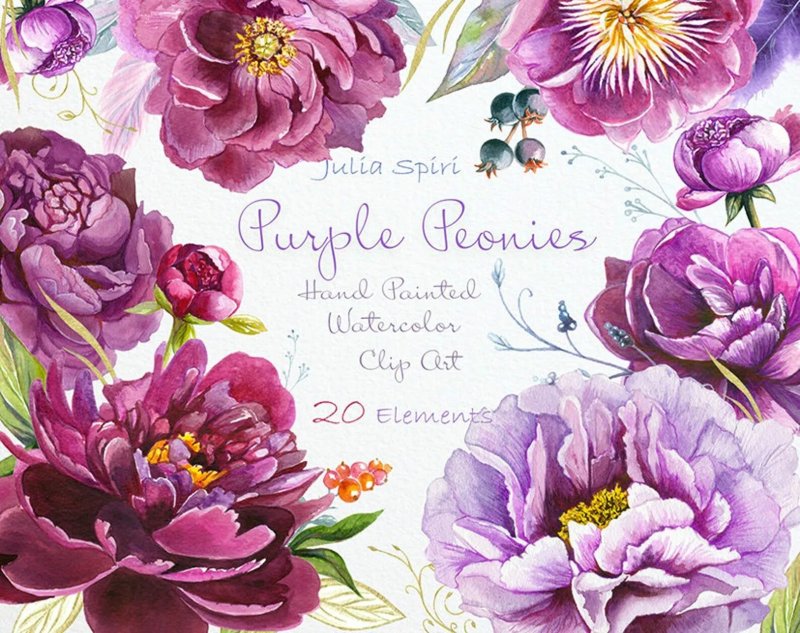 Violet flowers of watercolor