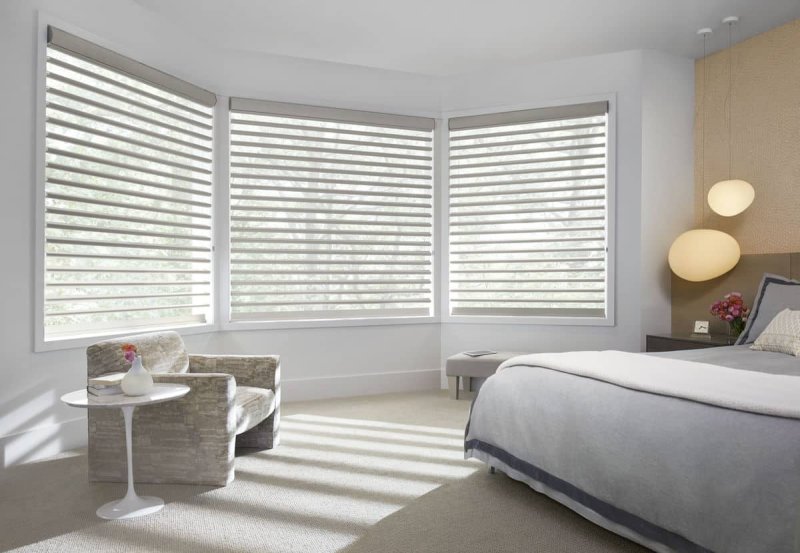 Hunter Douglas blinds