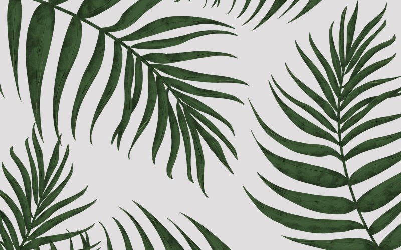 Palm leaf