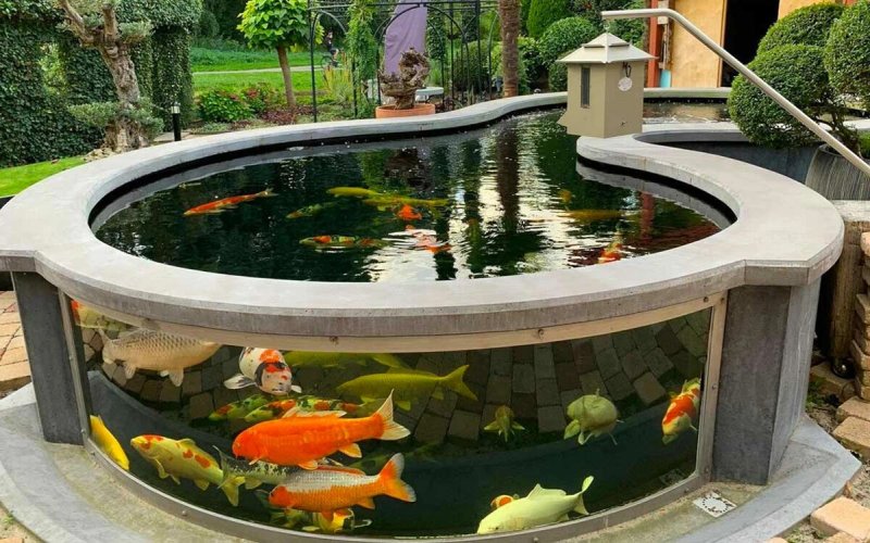 Koi pond