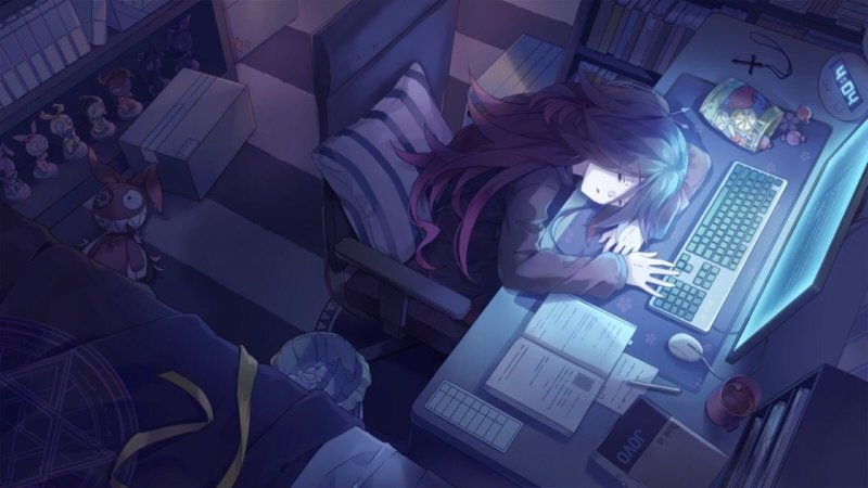 Shelter Hikikomori Anime