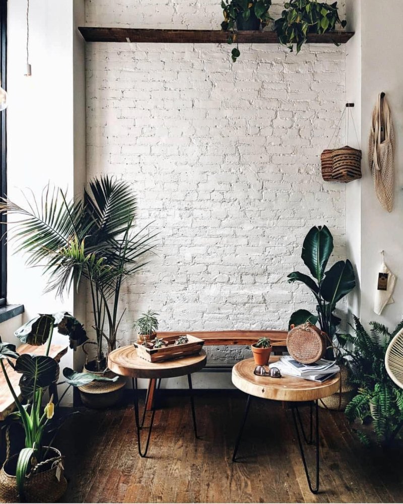 Plants in the interior loft