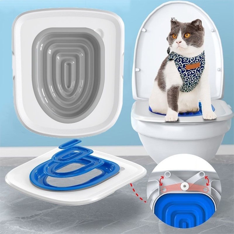 Cat teaching to the toilet