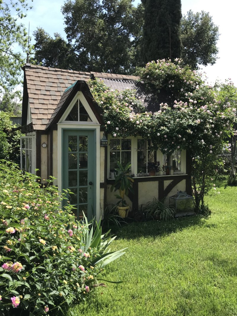 Garden House Shed Garden