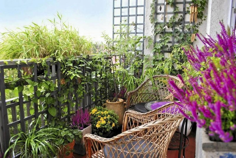 Landscaping of the balcony