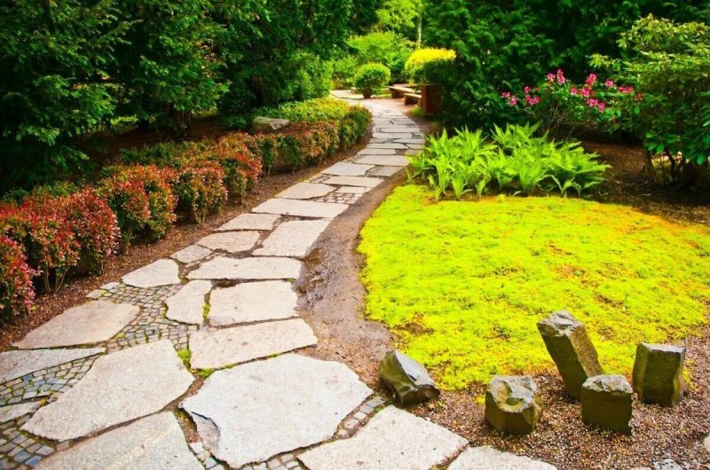 The path in the garden