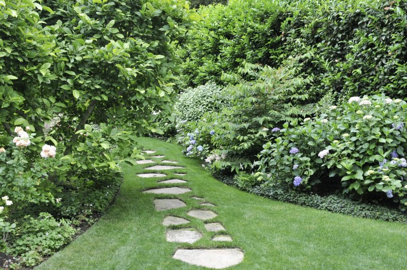 Paths landscape design