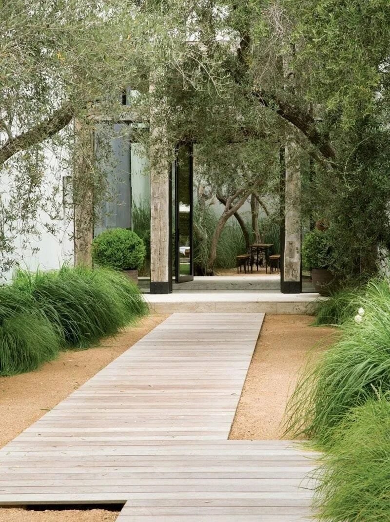 Modern landscape design