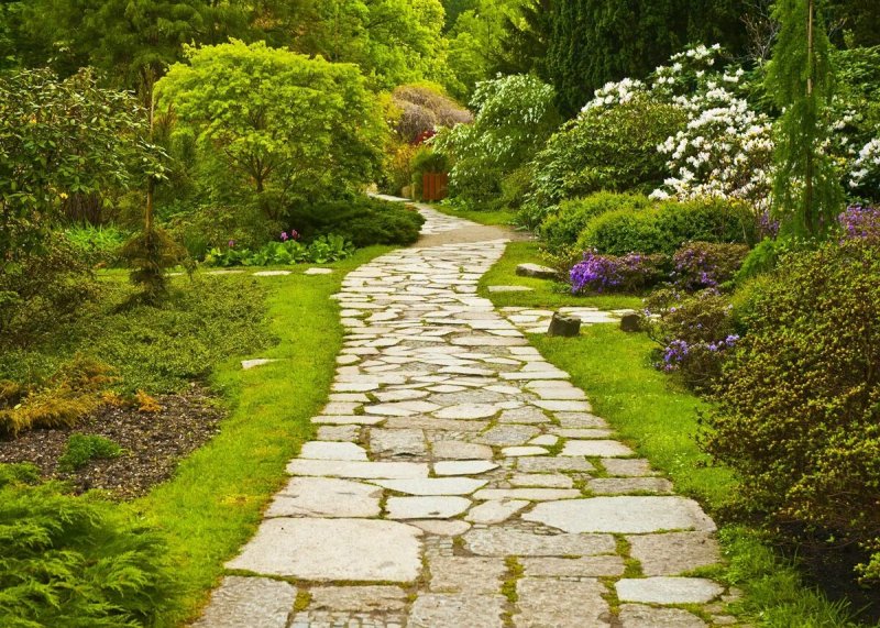 The path in the garden