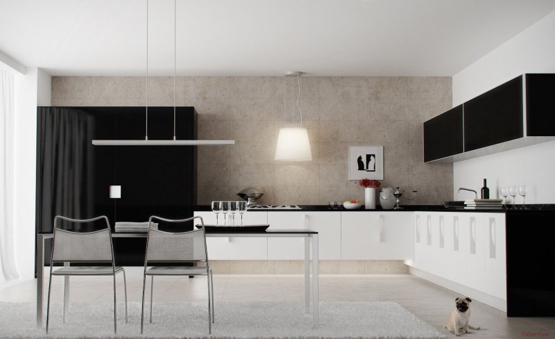 Minimalism style kitchens