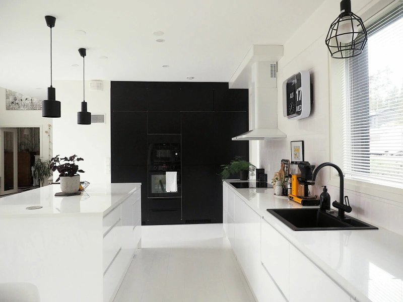 Black white kitchen in the style of minimalism