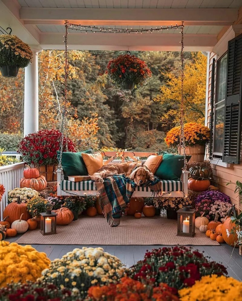 Autumn decor