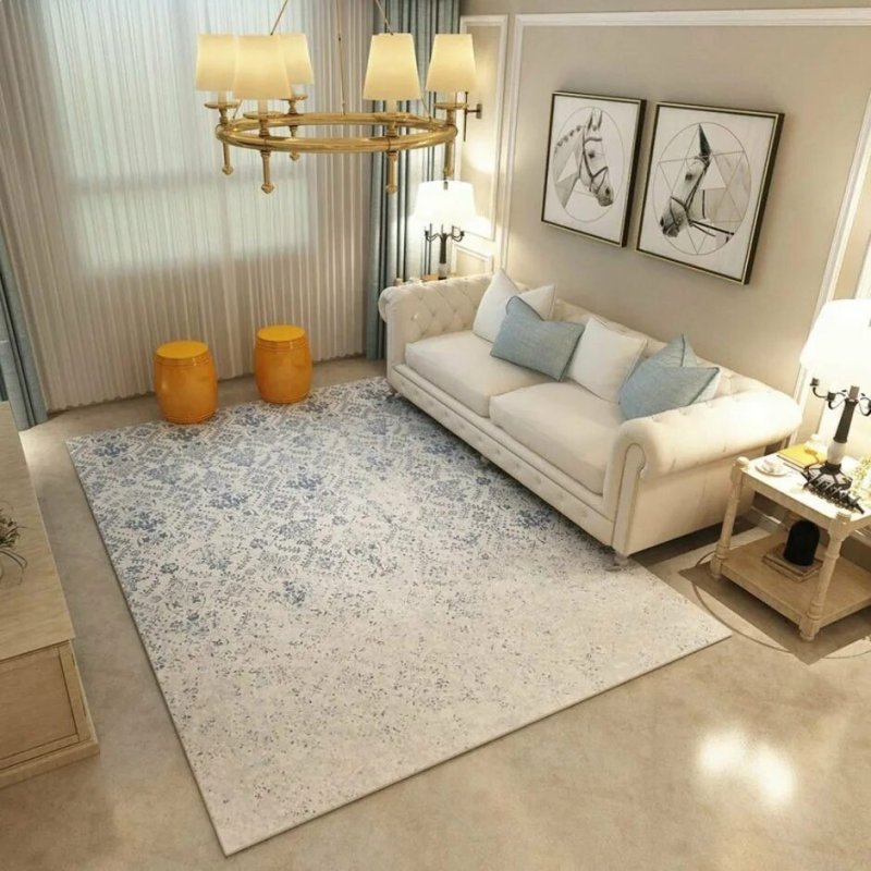 Carpet in the interior of the living room