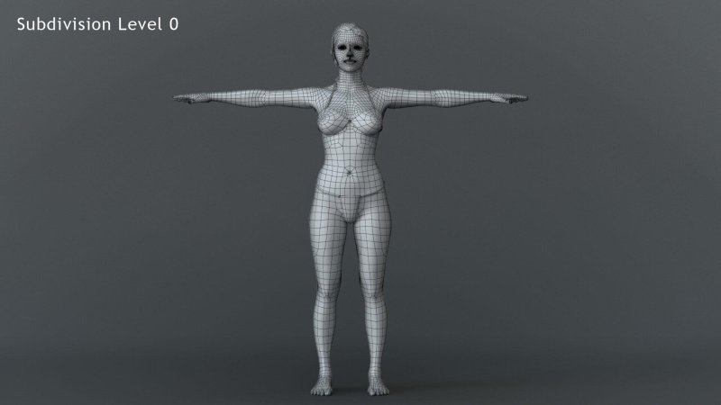 Female body d Model