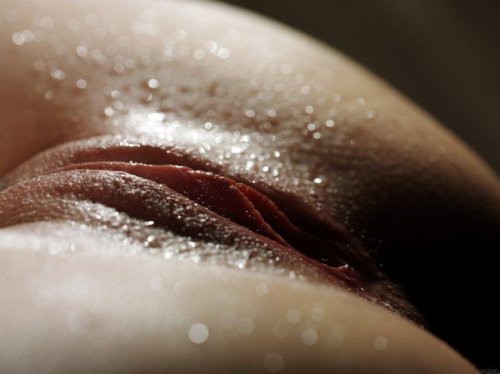 Naked pussies close -up