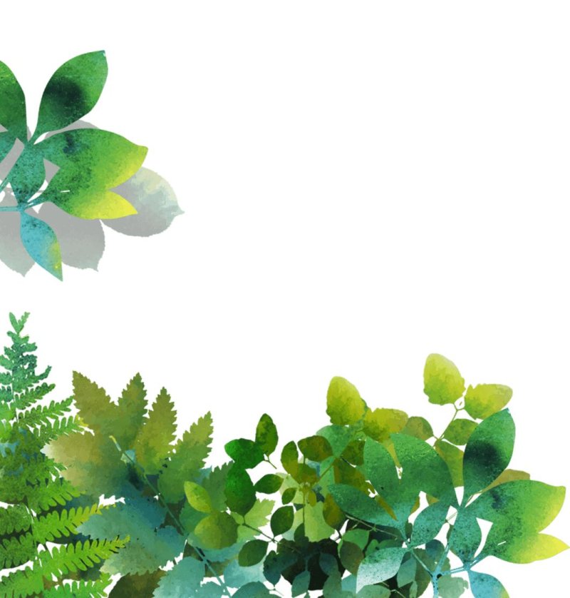 Green leaves