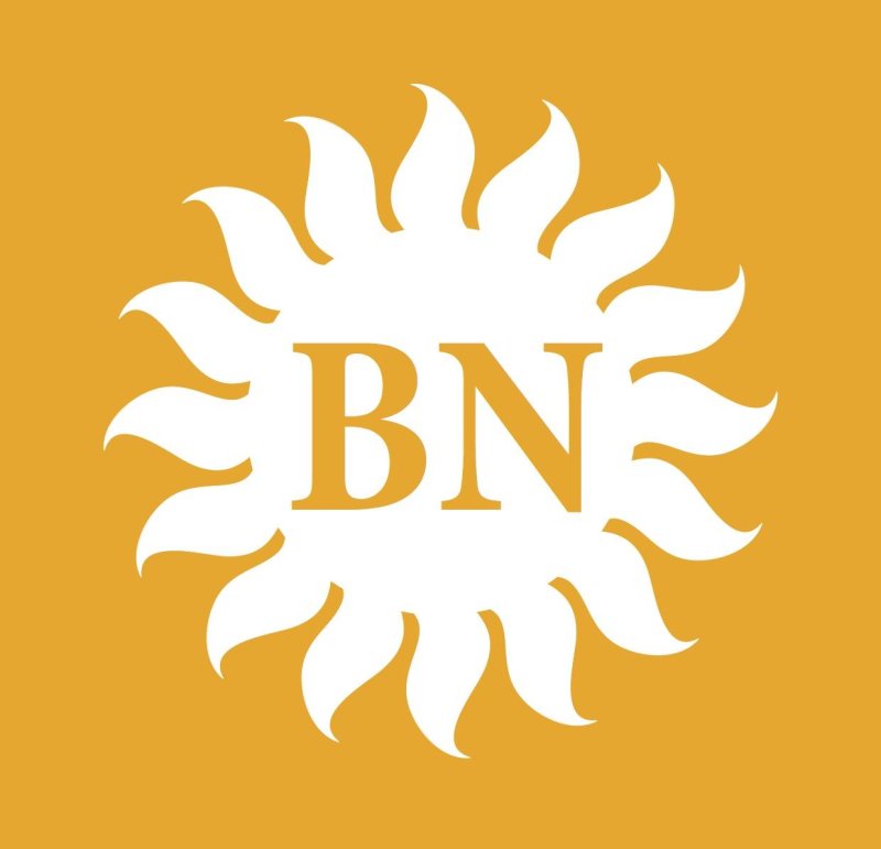 Logo BN