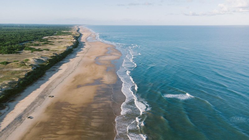 National Park Kurshskaya Kosa Kaliningrad