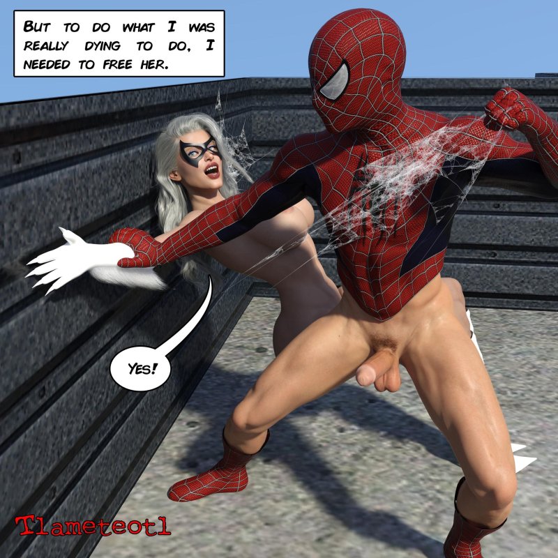 Spider man web of shadows black cat