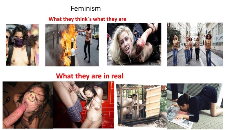 Porn actress feminist