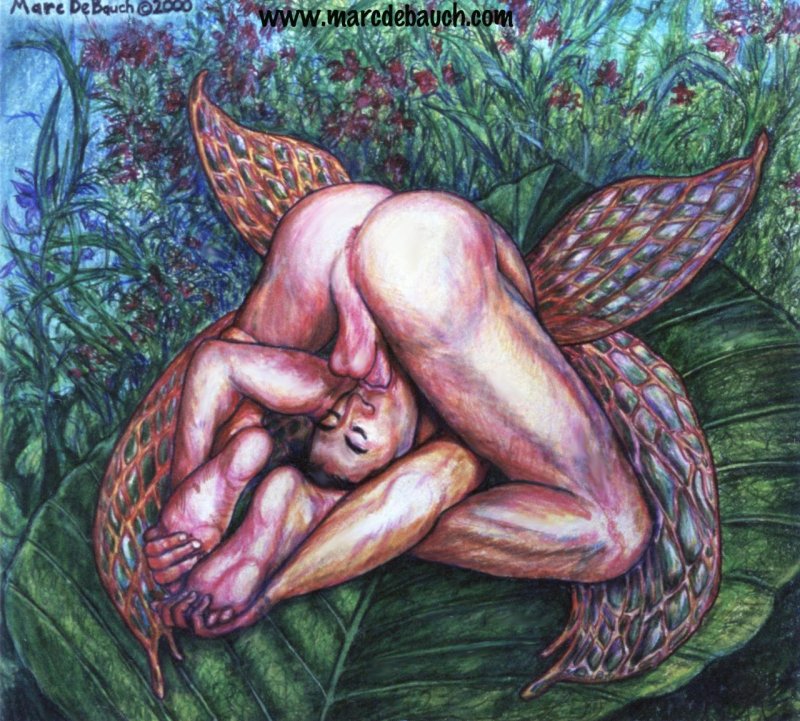 Naked art