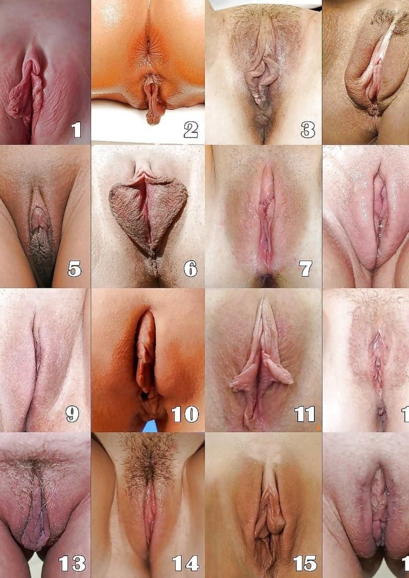 Forms of female genitals