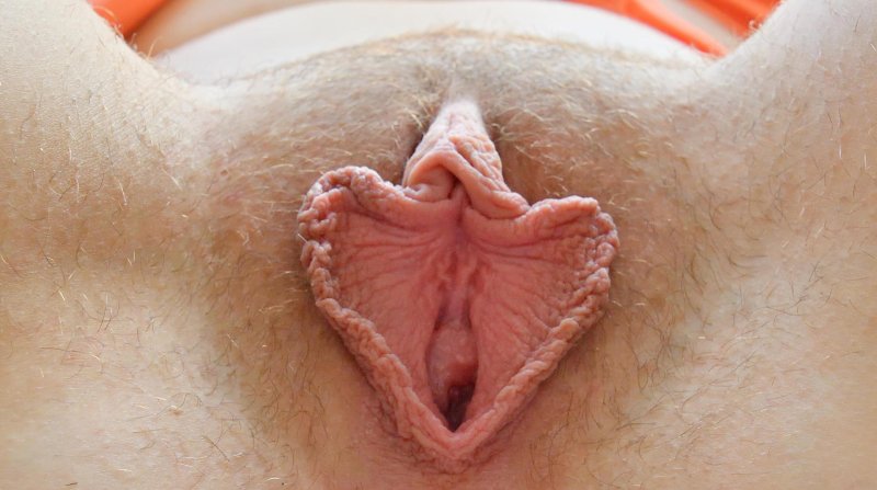 Vagina female