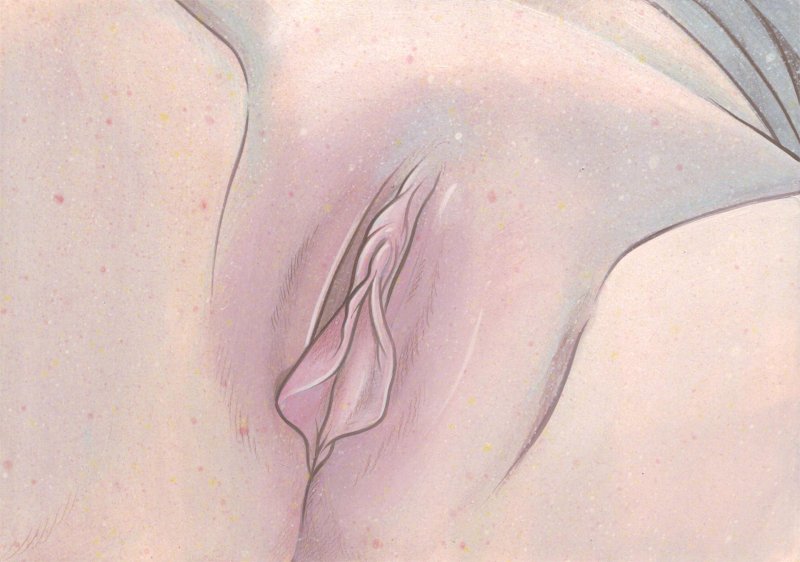 Vagina Barbie Labioplasty