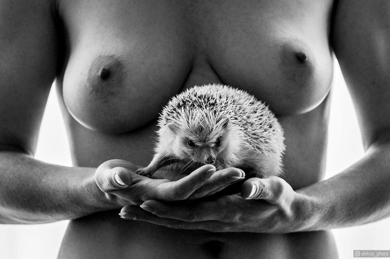 Erotica nude