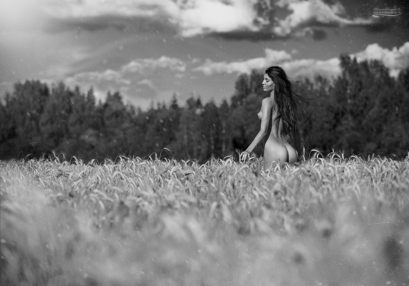 Photographer Nude