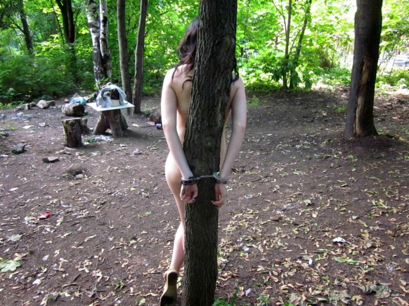 Binded in the forest