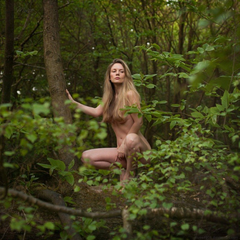 Naked girls in the forest