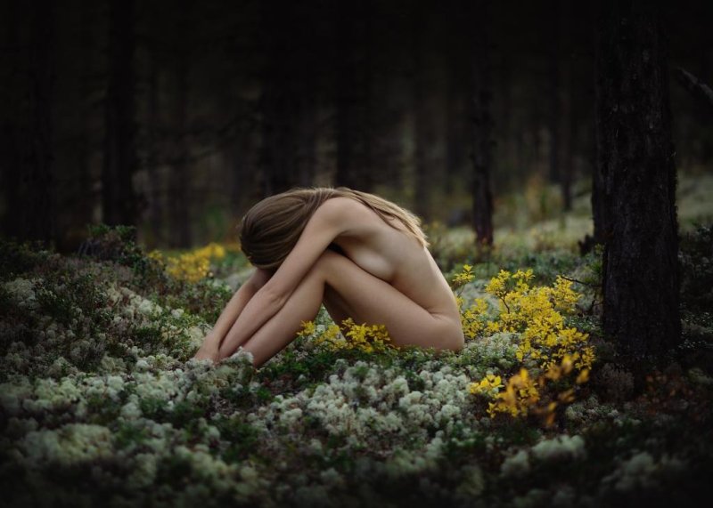 Erotic photo shoot in the forest