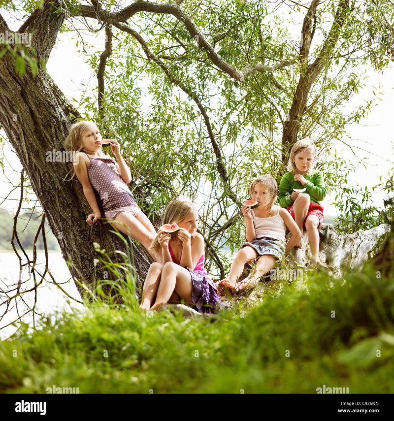 The girl climbed into a tree
