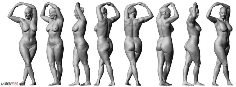 Female figure reference