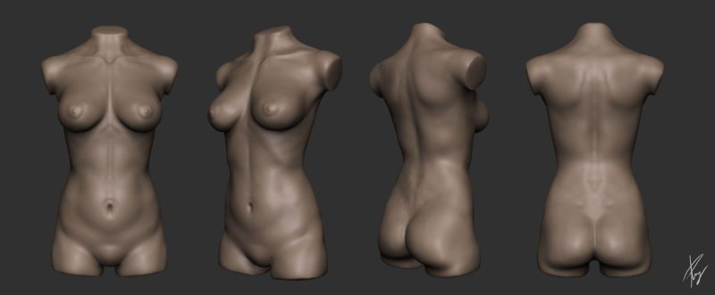 D modeling of a naked female body